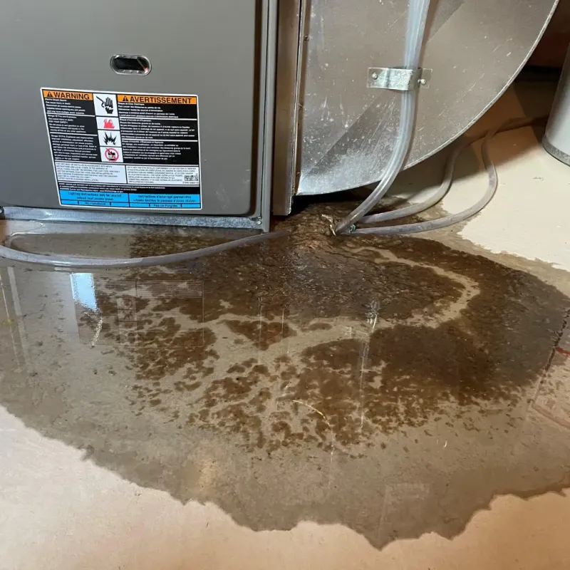 Appliance Leak Cleanup in Utah County, UT