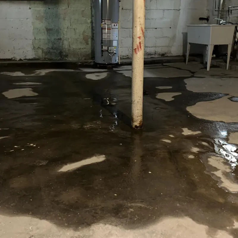 Emergency Water Extraction And Removal in Utah County, UT